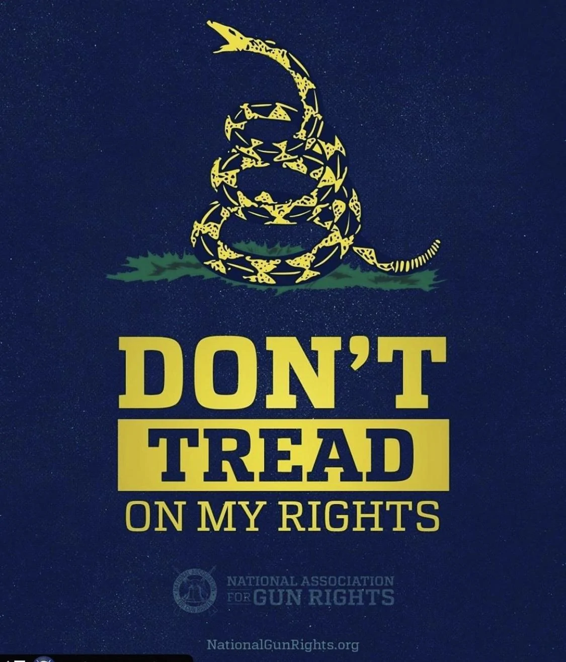 Don't Tread On My Rights.webp