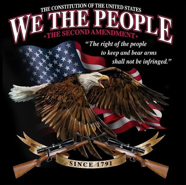 We The People 2nd Amendment.webp