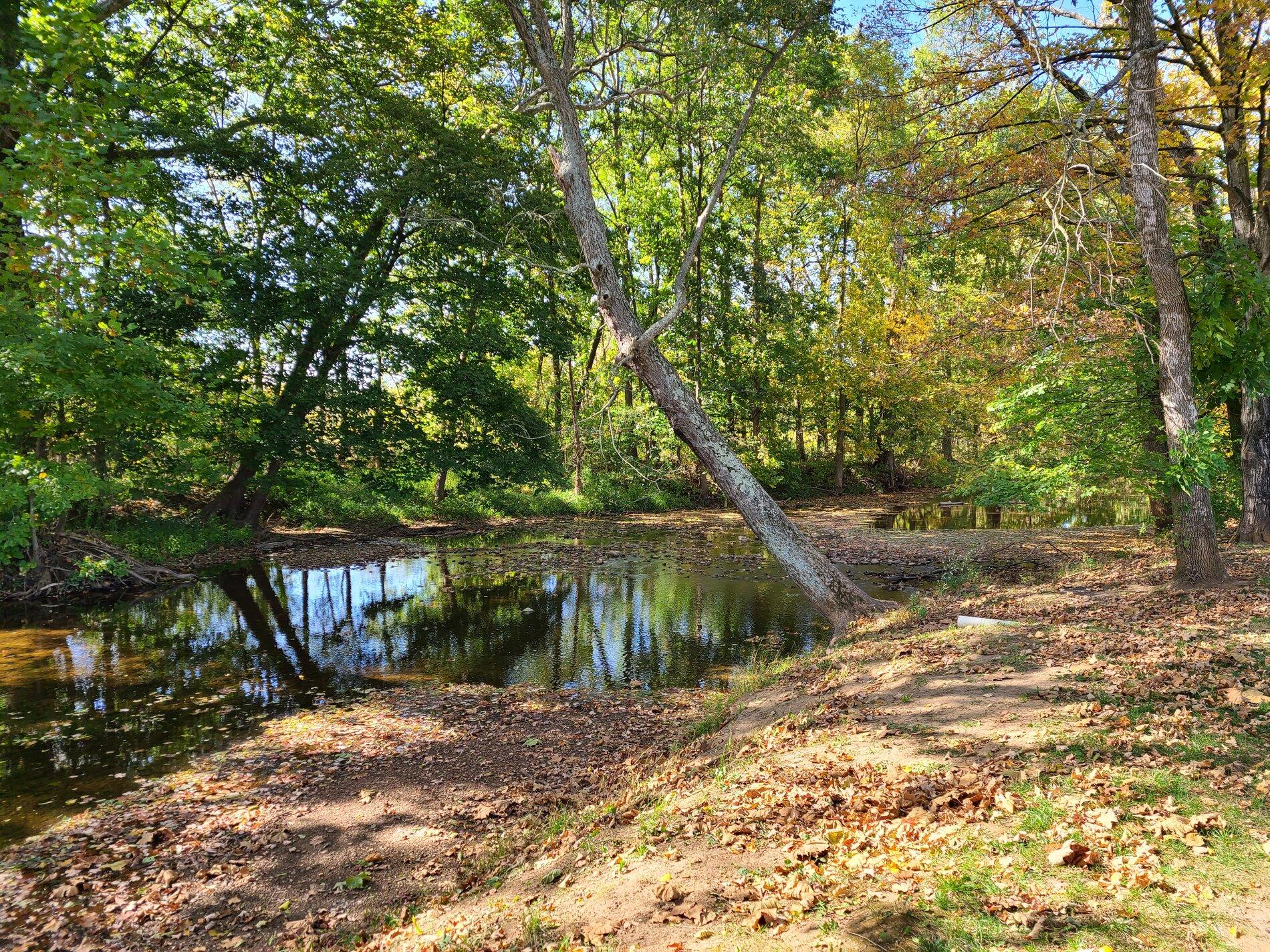 20201009_144121.jpg