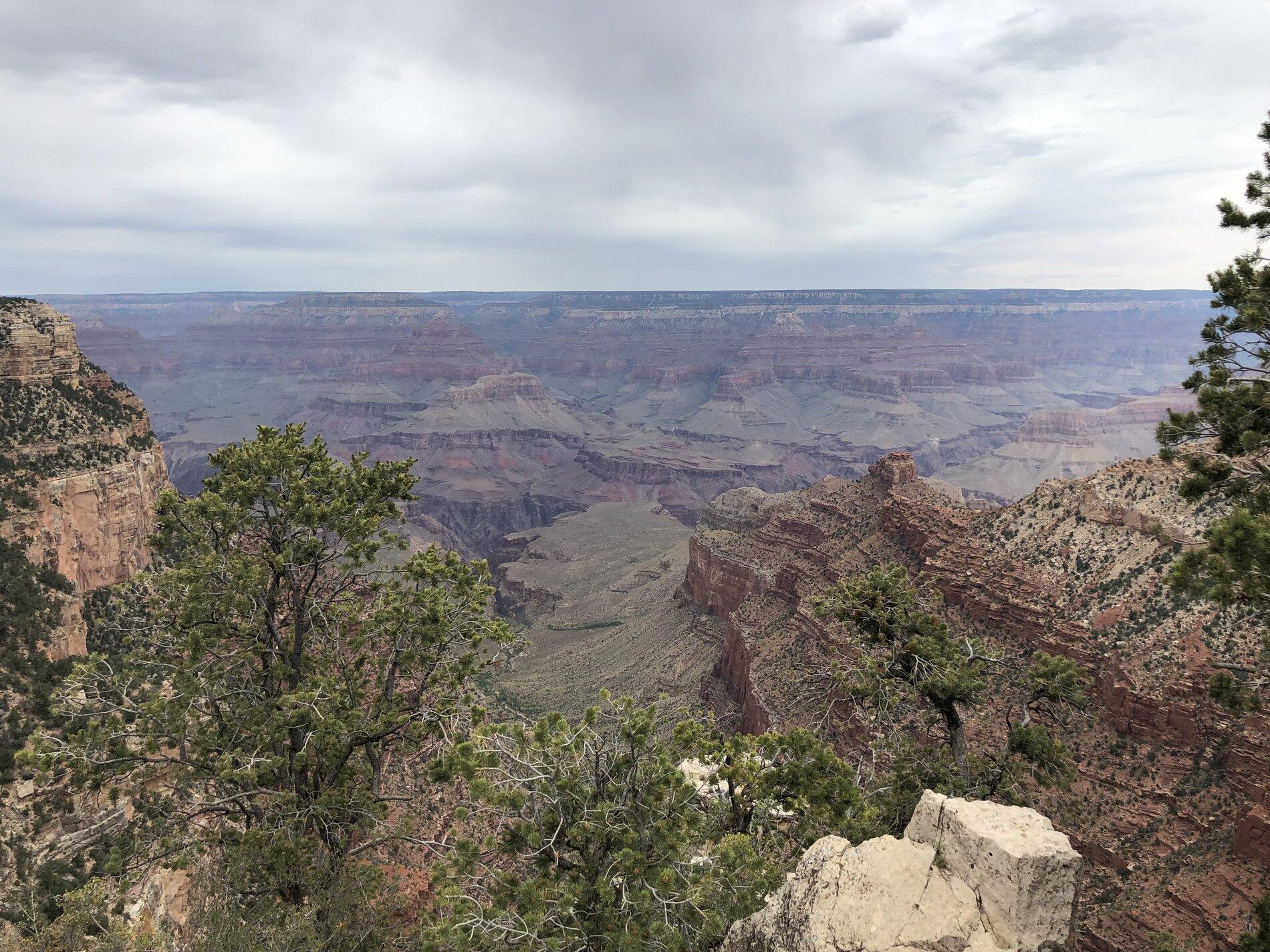 IMG_1042.jpg