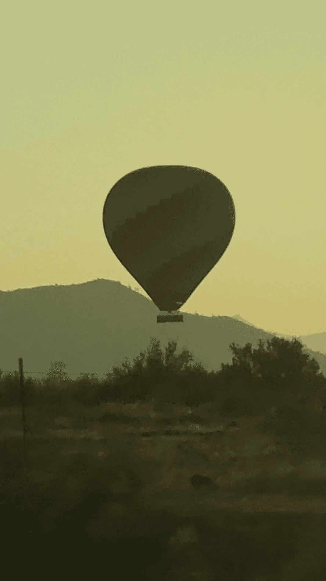 67E0A287-1261-458D-A735-3493F03FCD76.PNG