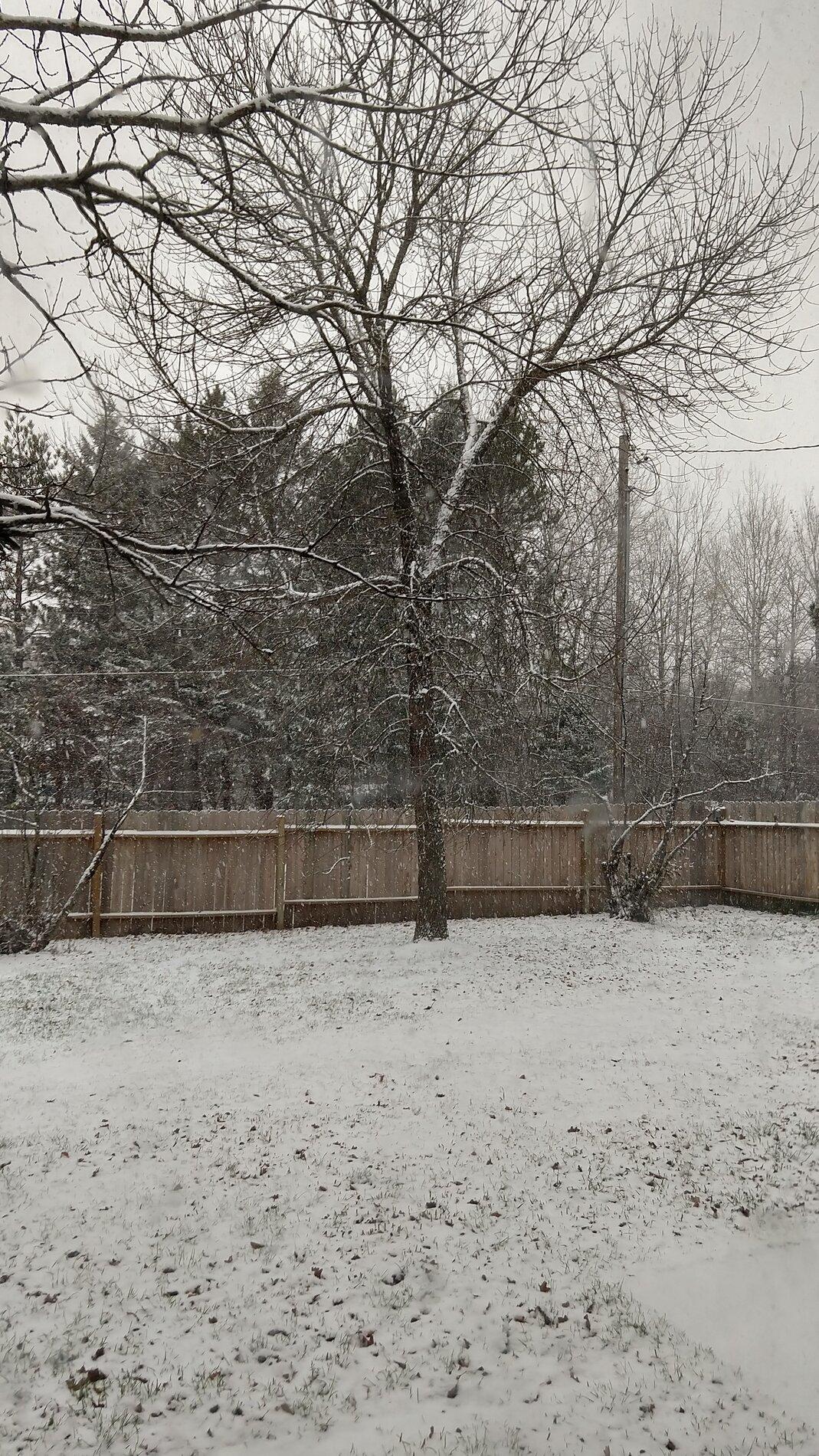 IMG_20201017_092805669_HDR.jpg