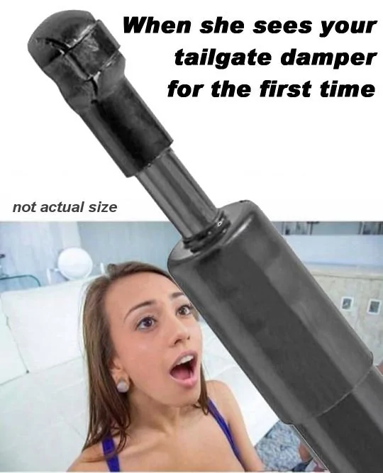 she-sees-damper-first-time.webp