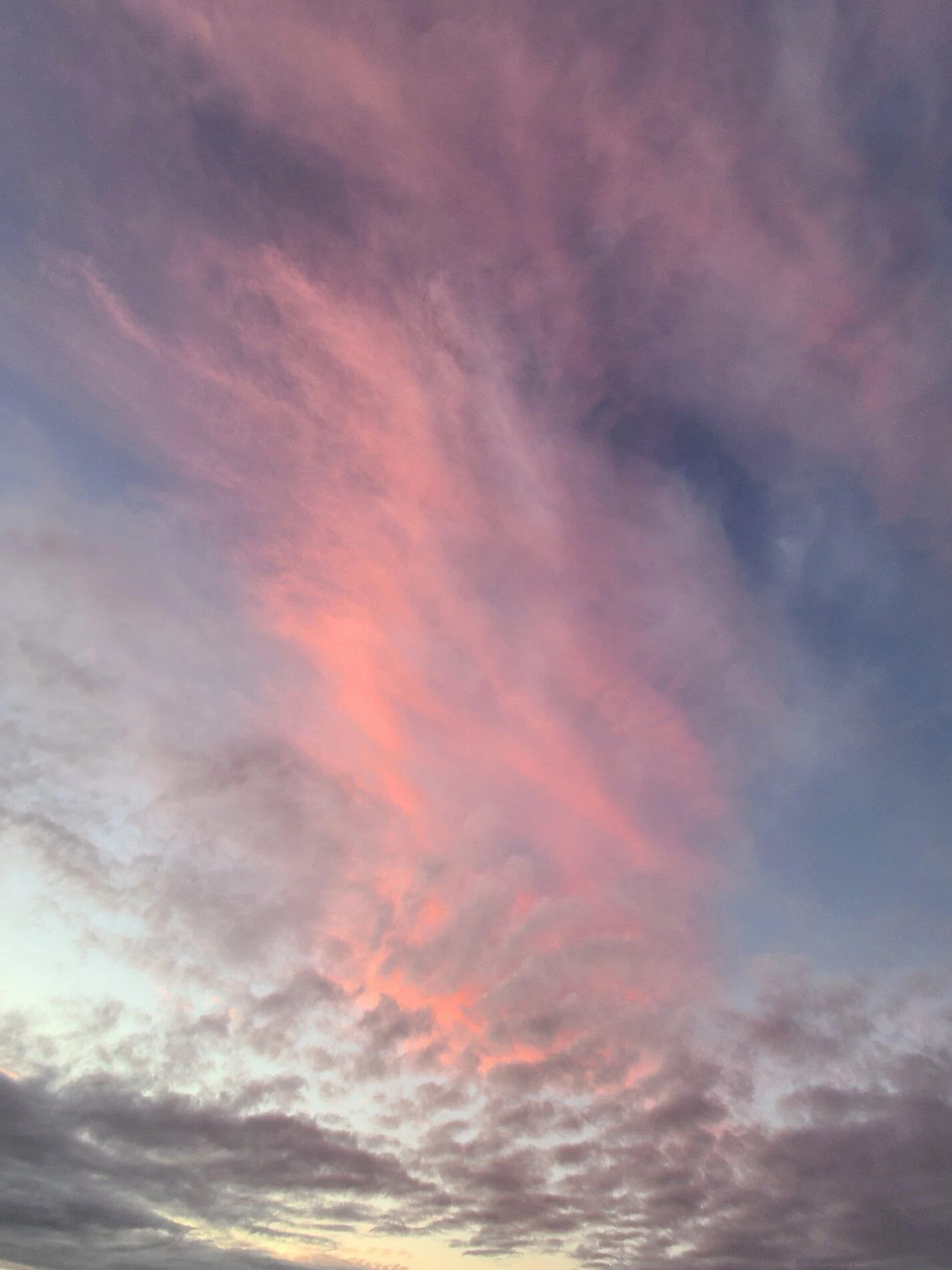20201023_070650.webp