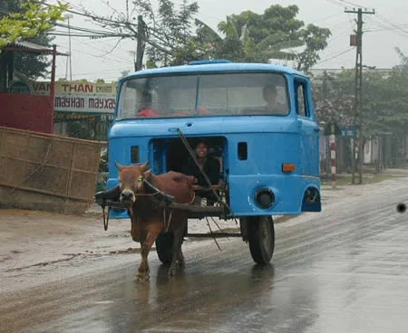 Redneck Taxi.webp