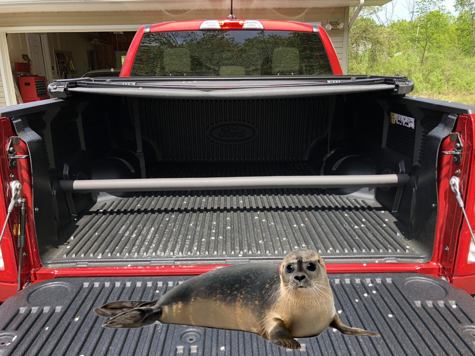 tailgate seal.jpg