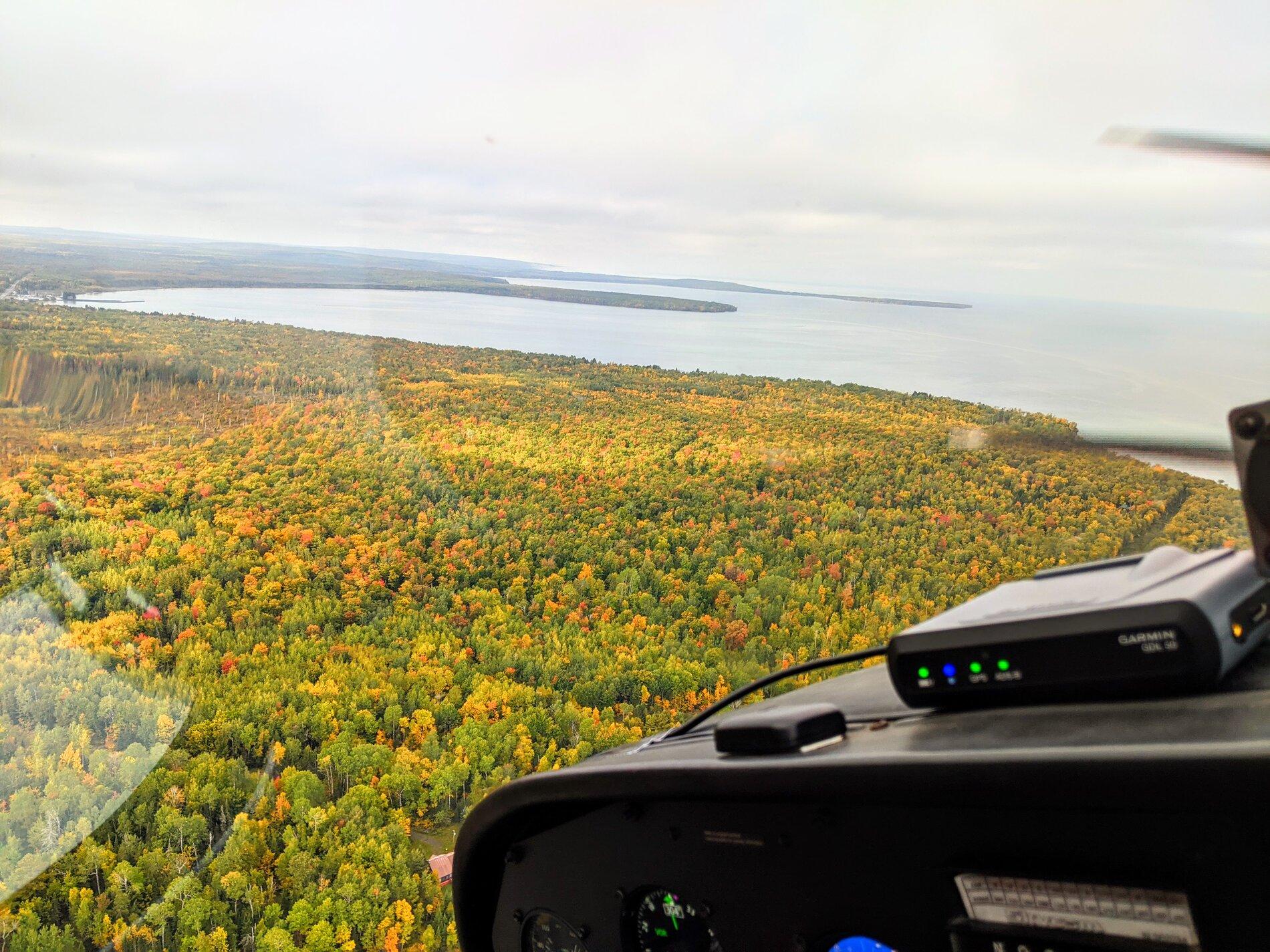 PXL_20200925_152327342 (1).jpg