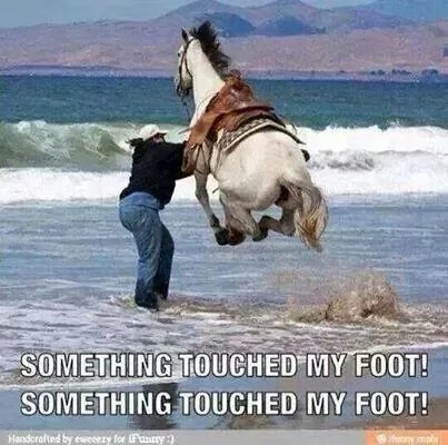 touchedmyfoot..webp