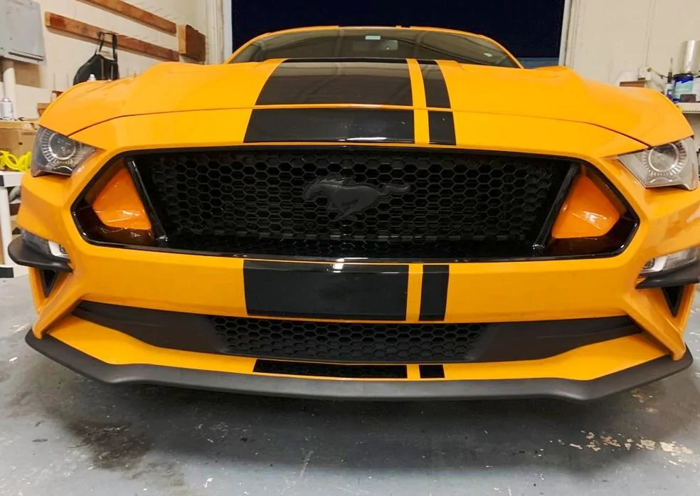 mustang.webp