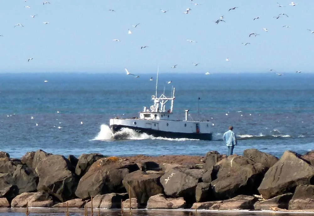 Black river fishing boat.webp