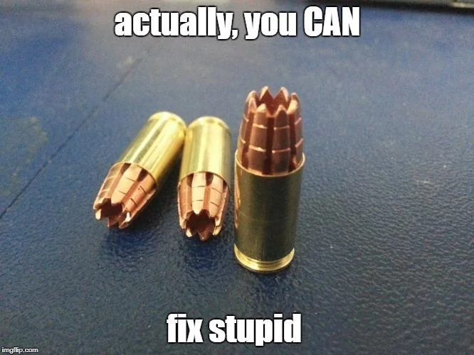 You Can Fix Stupid.jpg