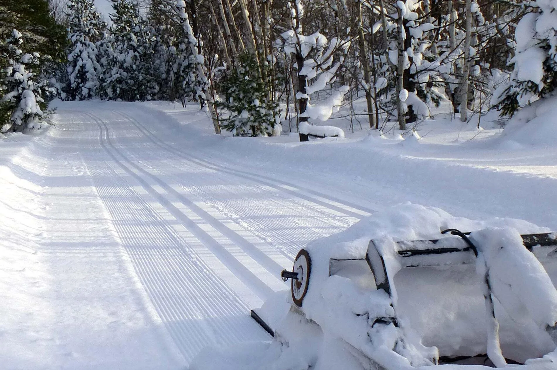 Dec good tracks(croppped).webp