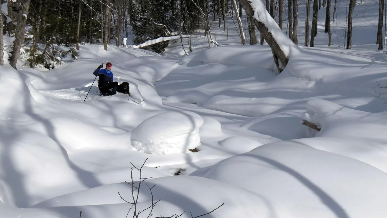 BCskicreek.good.webp