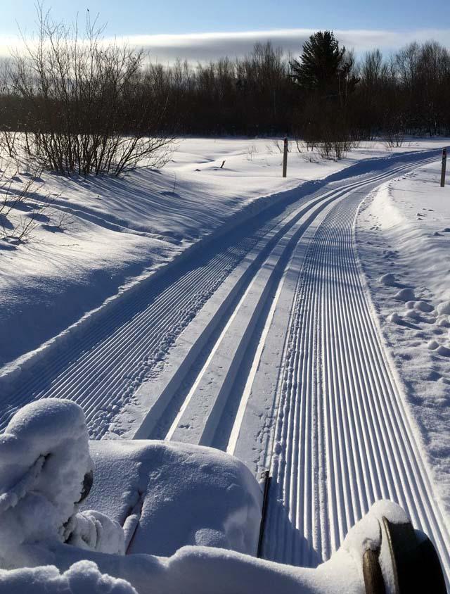 goodtracks.JPG