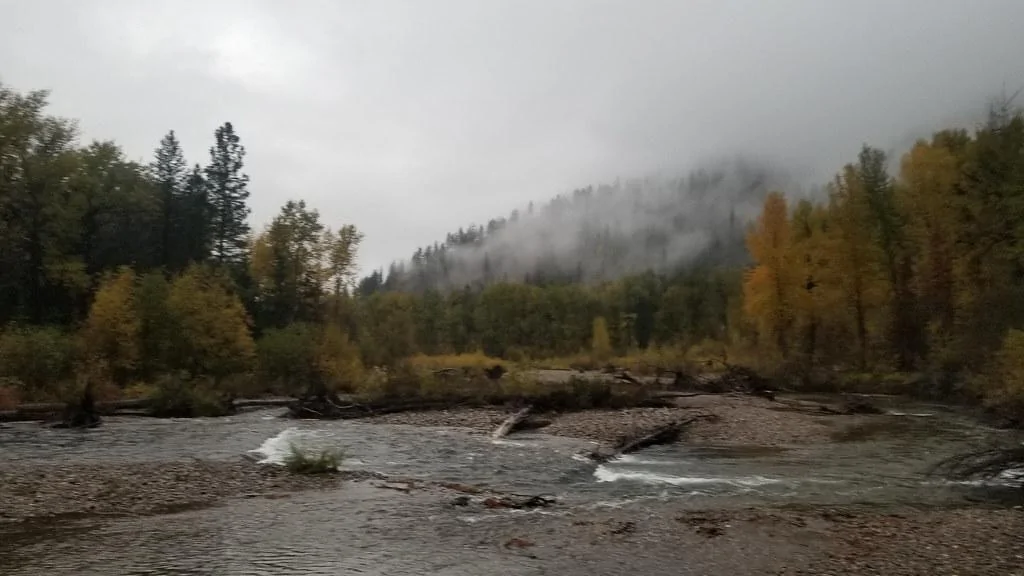 50537722873_2c6b0b664f_b.jpg