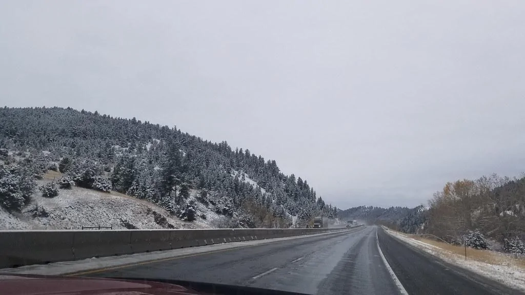 50537724903_89f956d617_b.jpg