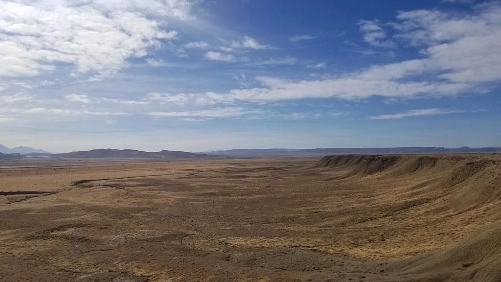 50538476456_1e311ce9d3_b.jpg