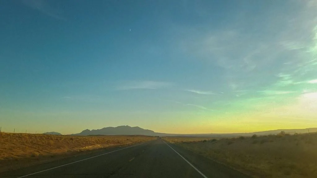50537768753_e7f082b2f0_b.jpg