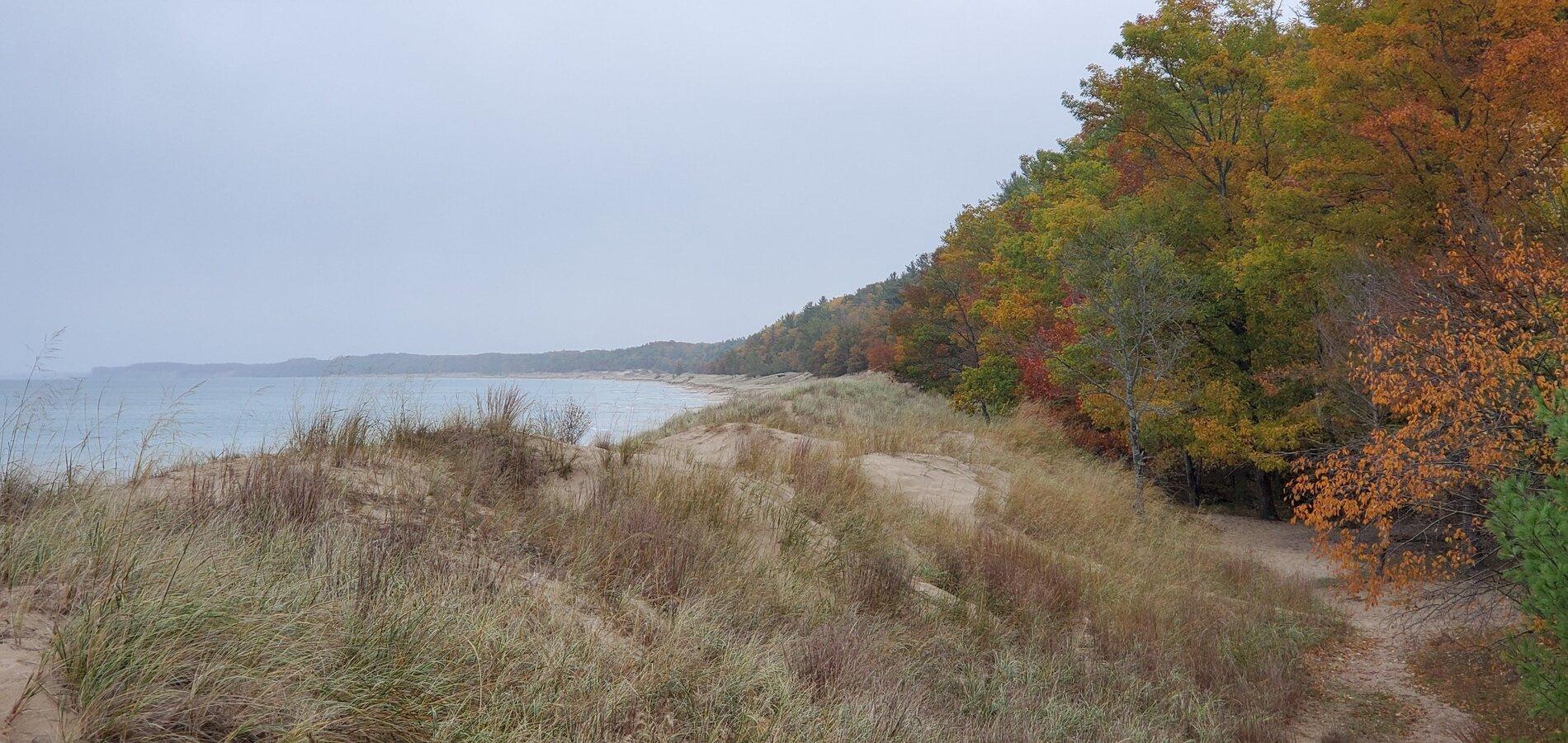 20201017_134721.jpg