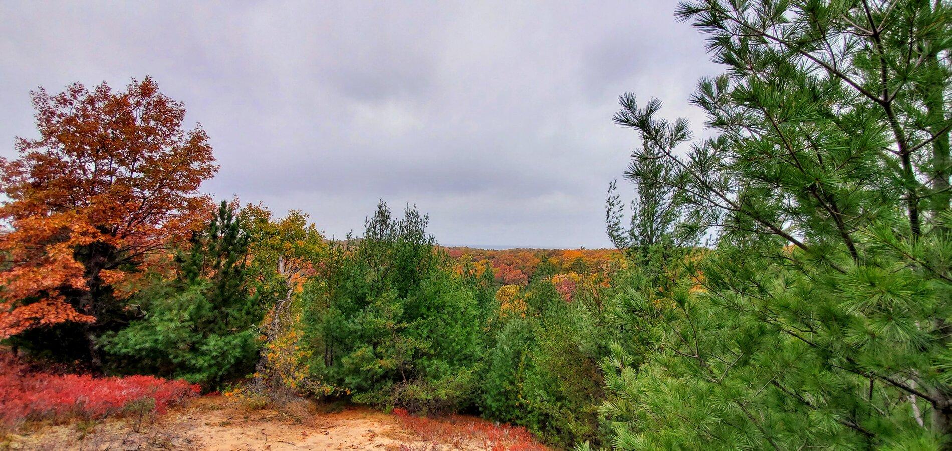 20201017_142451.jpg
