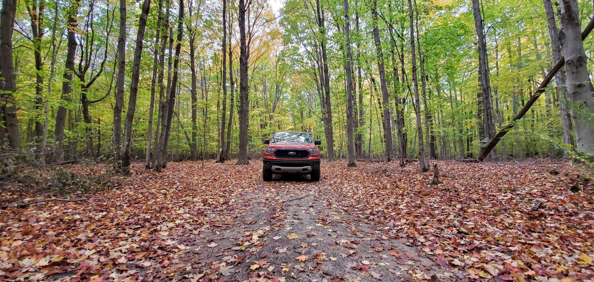 20201017_153733.jpg