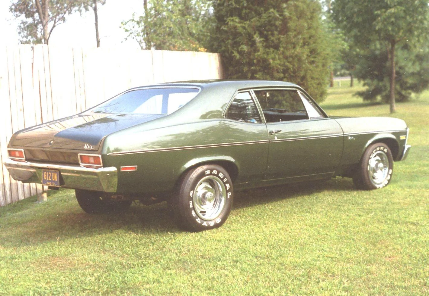 img361.jpg