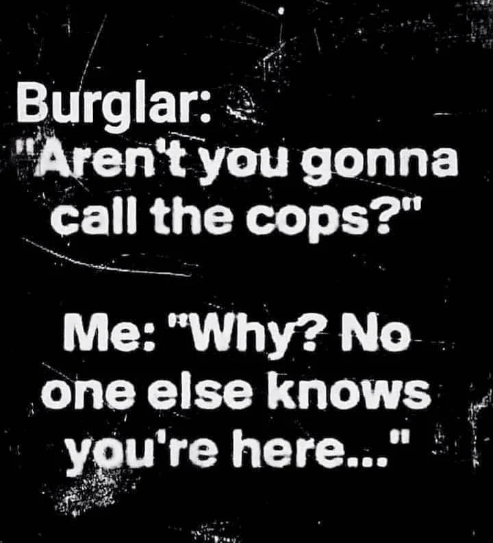 Burgler Me.webp