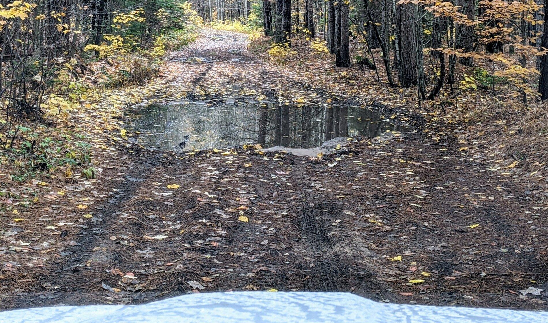 PXL_20201018_143547370.jpg