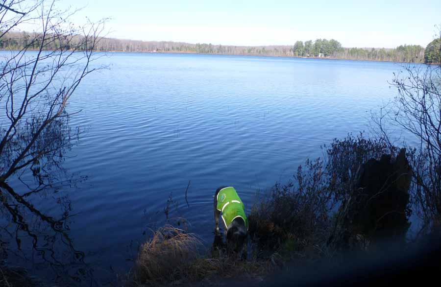 P1070332.jpg