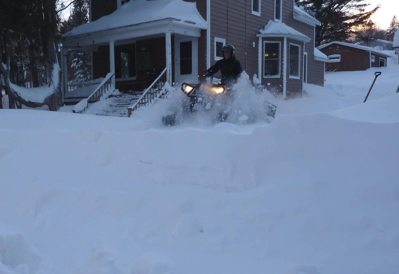 bossinsnow1 (2).jpg