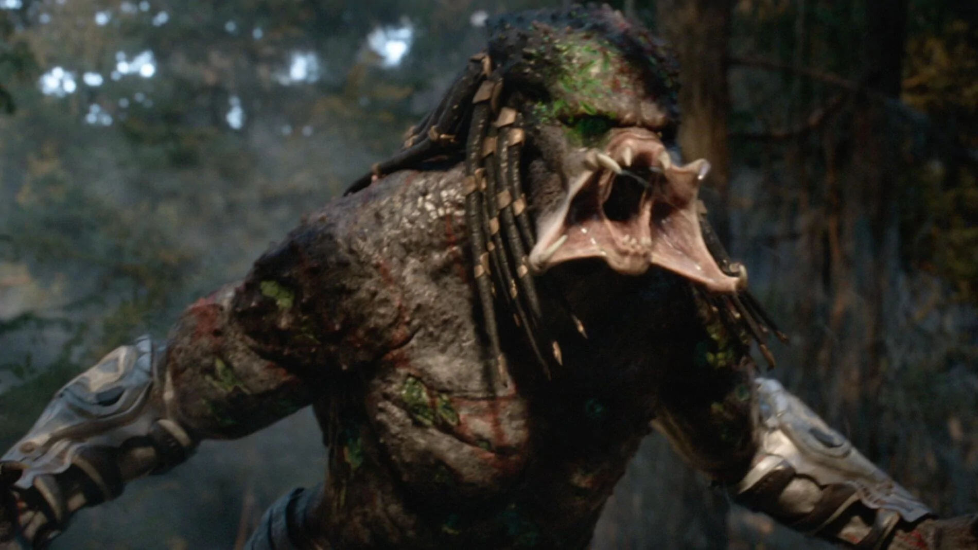 Predator.jpg