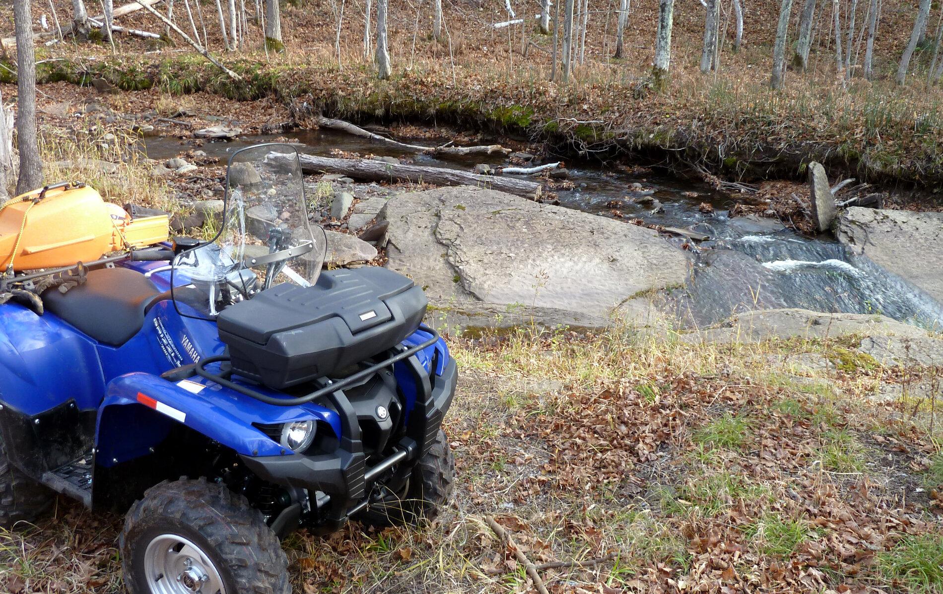 Grizzly in ST gorge.I.jpg