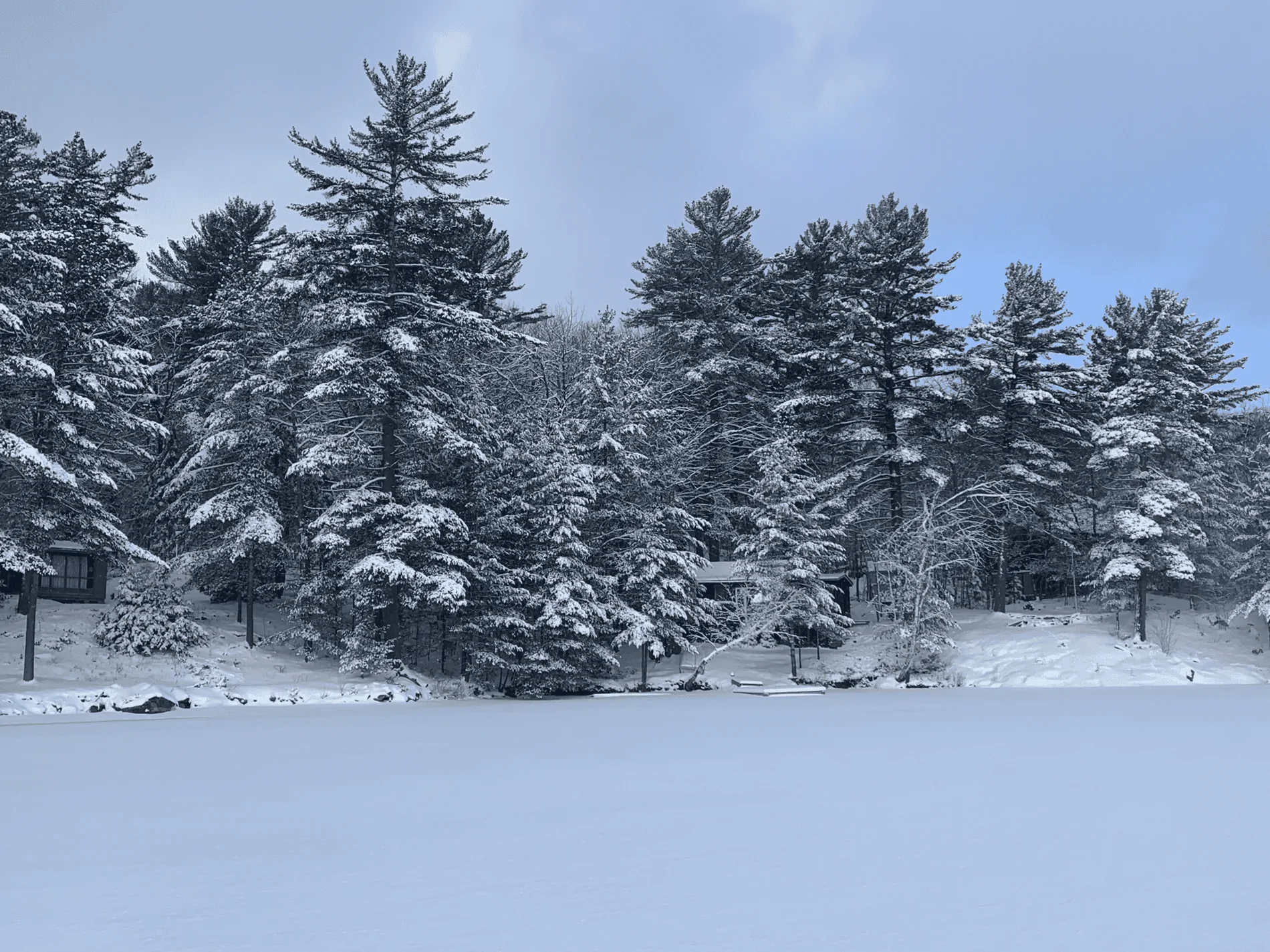 B3D72498-83DC-417A-93BC-D7BB03CB3D4B.png