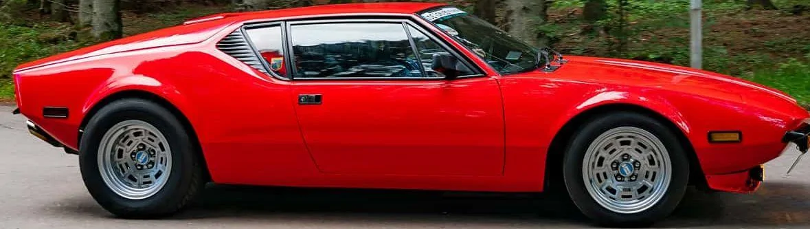 Pantera.webp