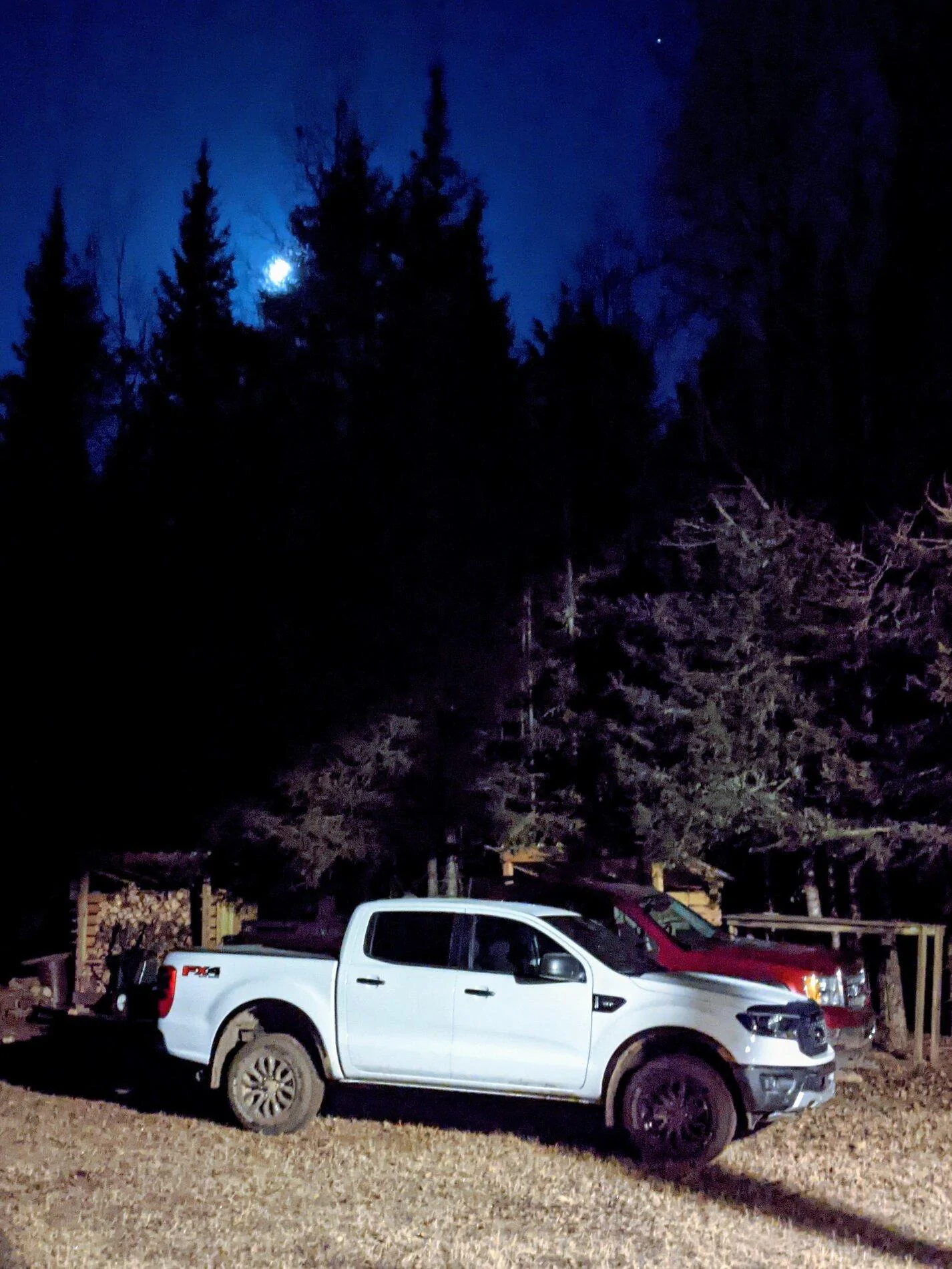 PXL_20201122_013637182.NIGHT.webp