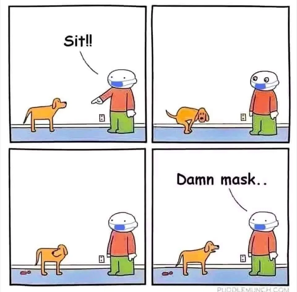Damn Mask.webp