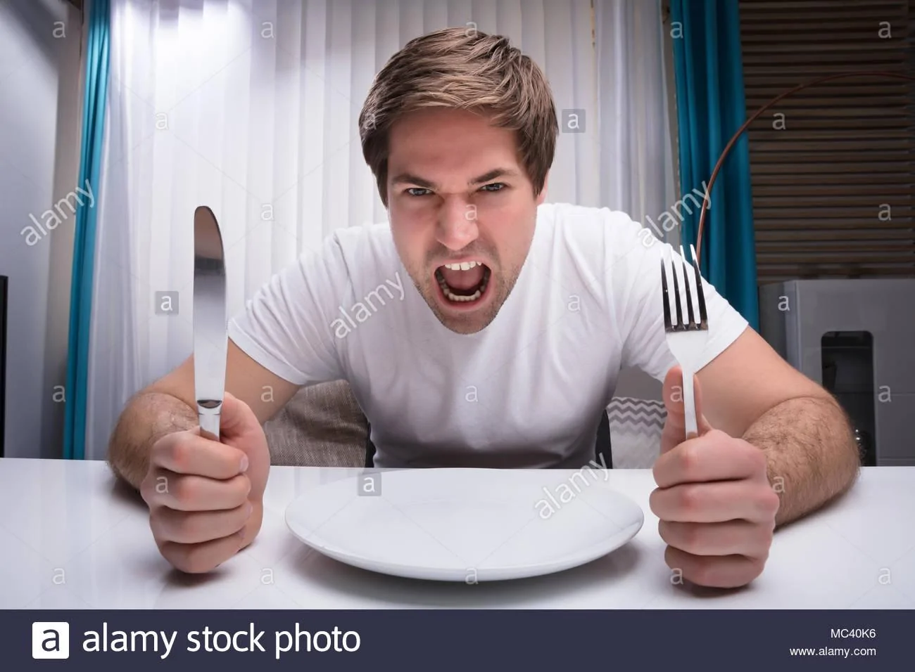 Dinner Time.webp
