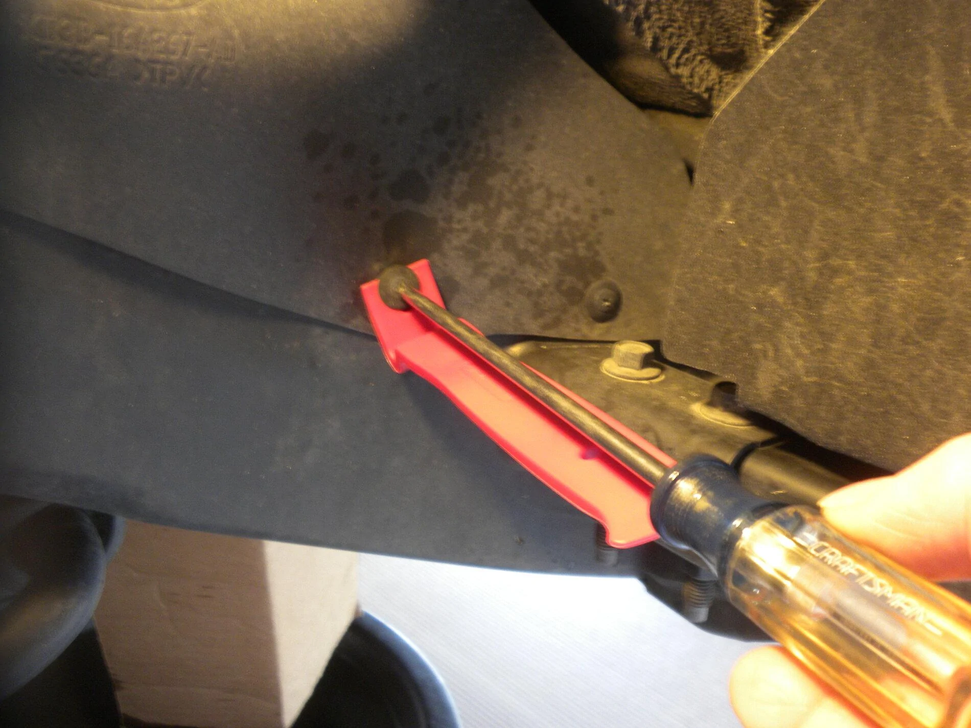 DSCN8188.webp