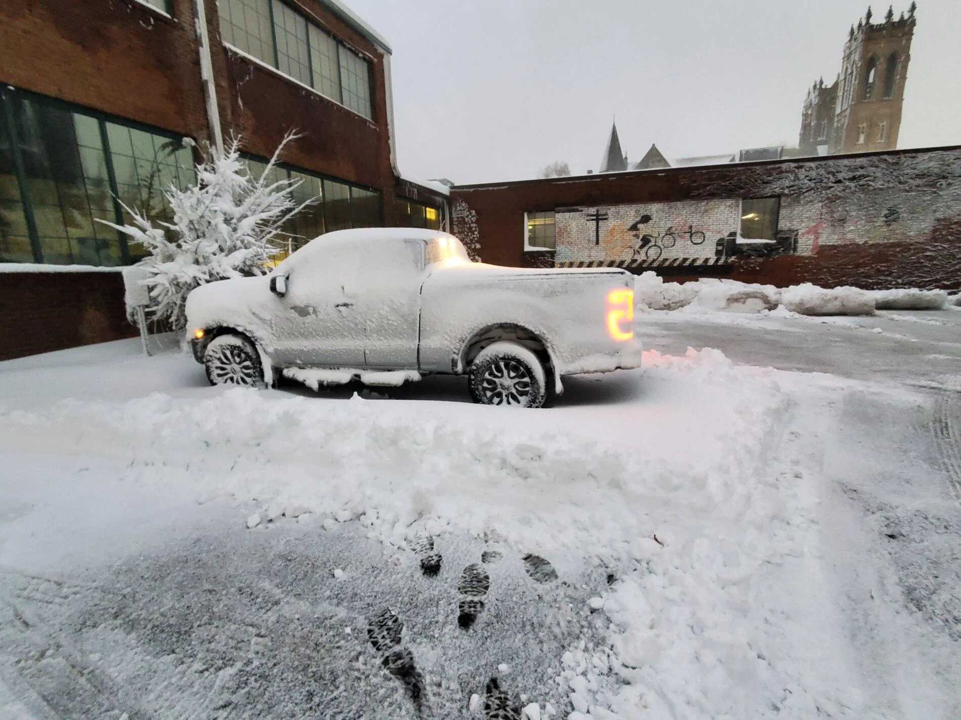 20201201_in the snow.webp