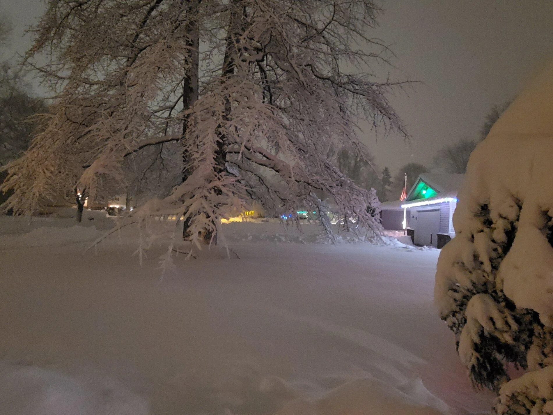 20201201_snow.jpg