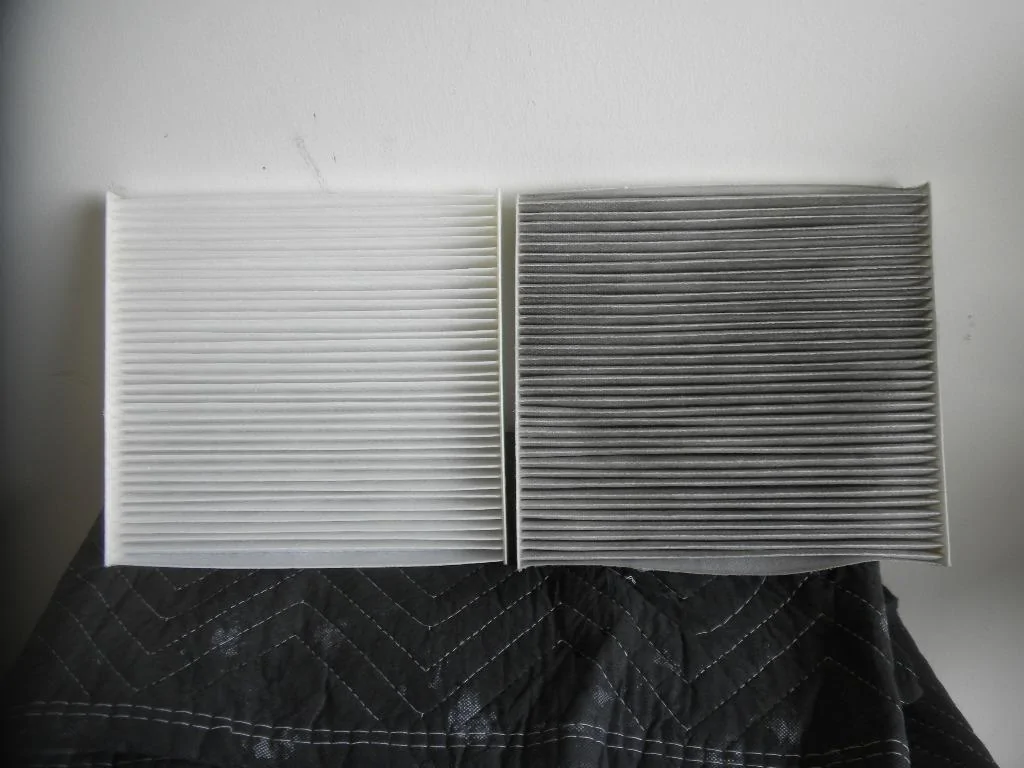 DSCN8288.webp