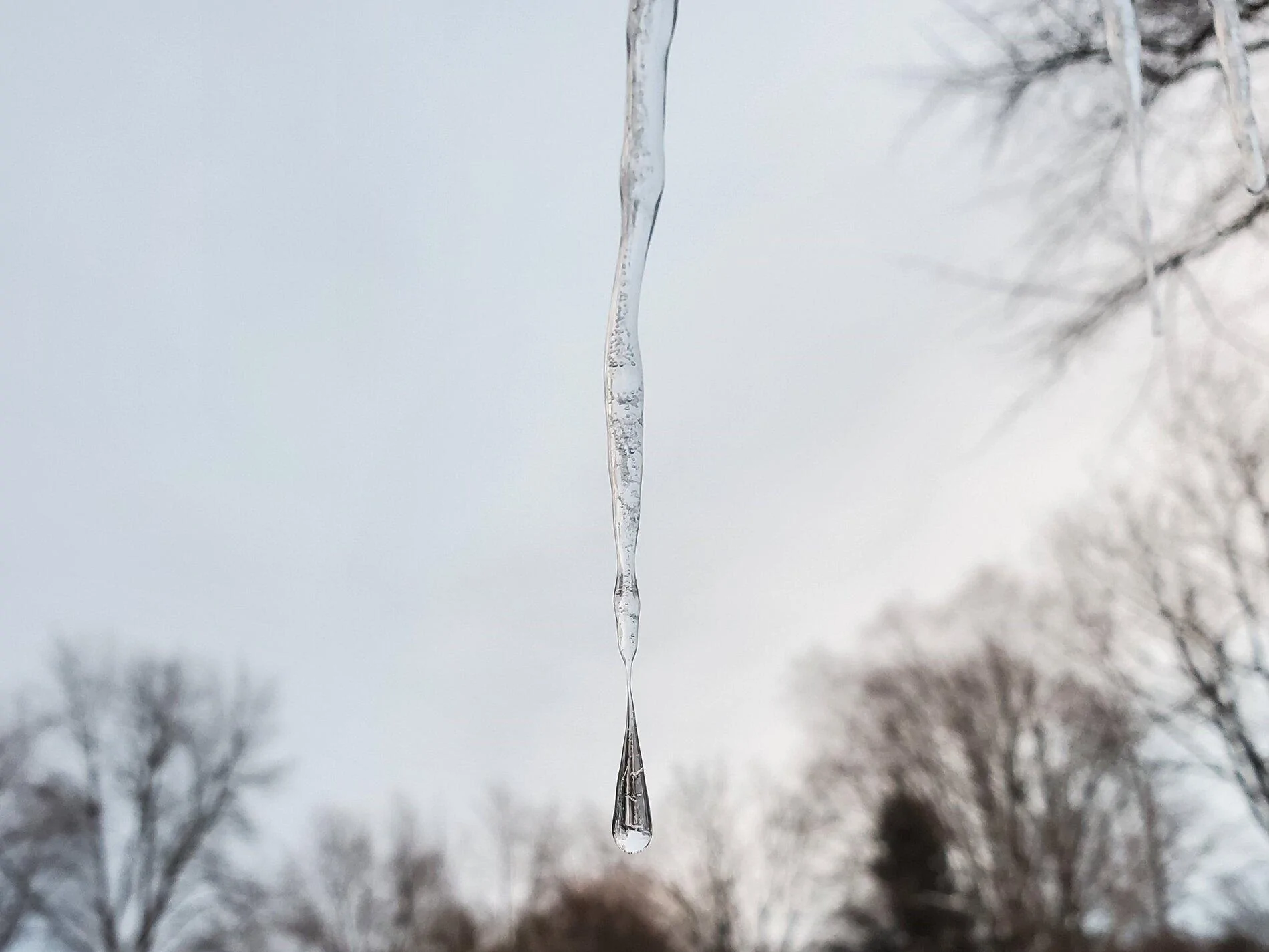 20201203_165213a.webp