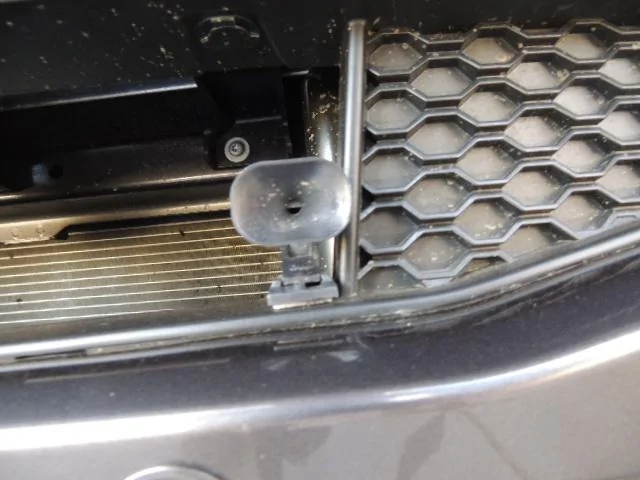 DSCN5156.webp