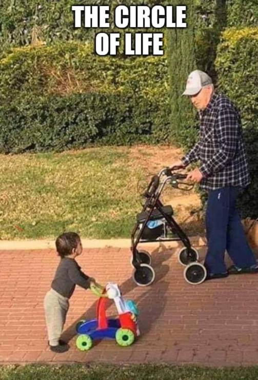 circleoflife.jpg
