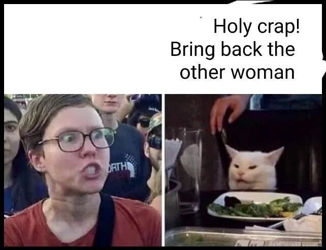 Bring Back The Other Woman.jpg