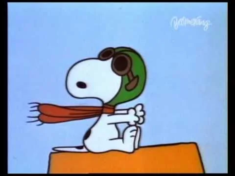 Snoopy1.webp