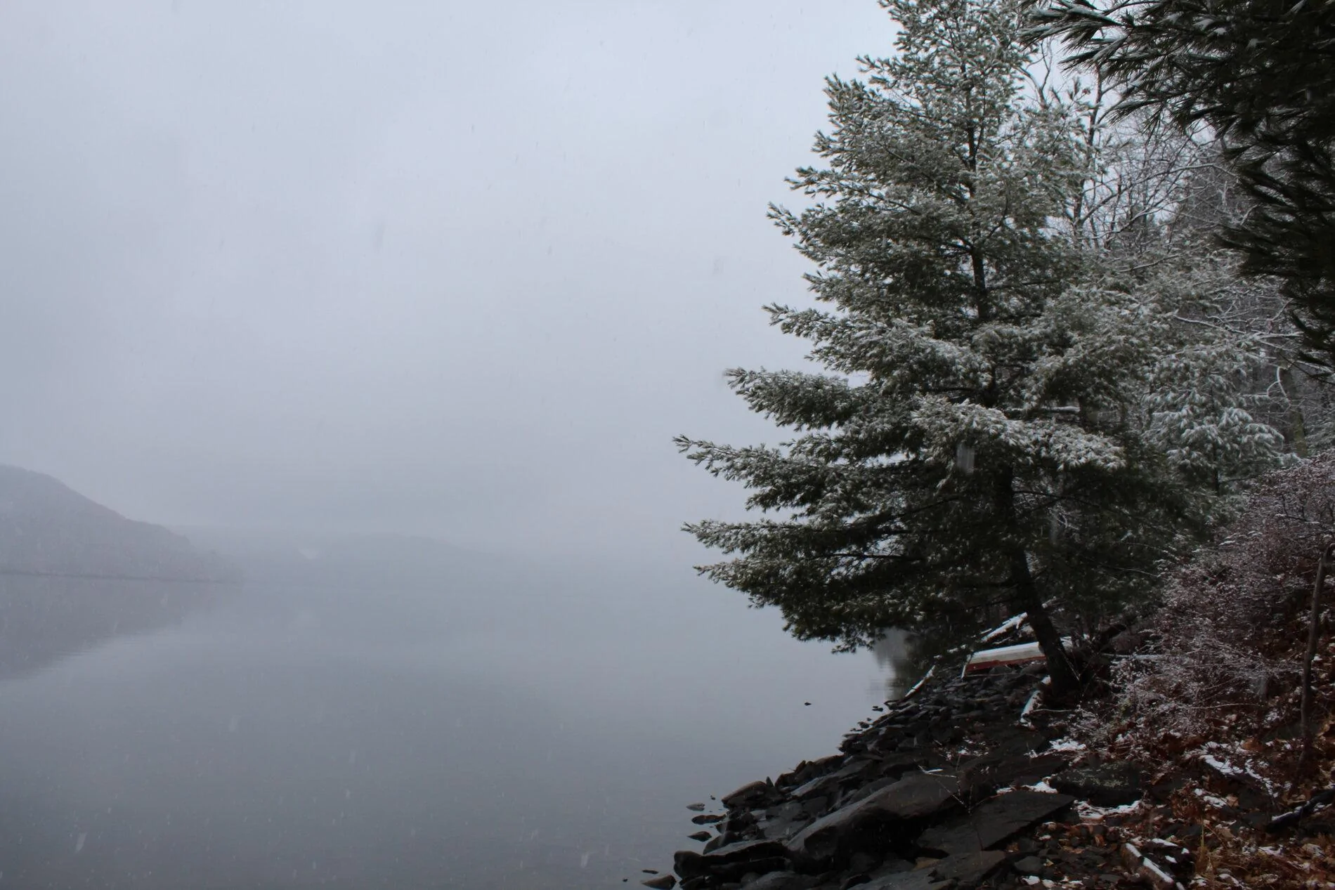 IMG_2200.webp
