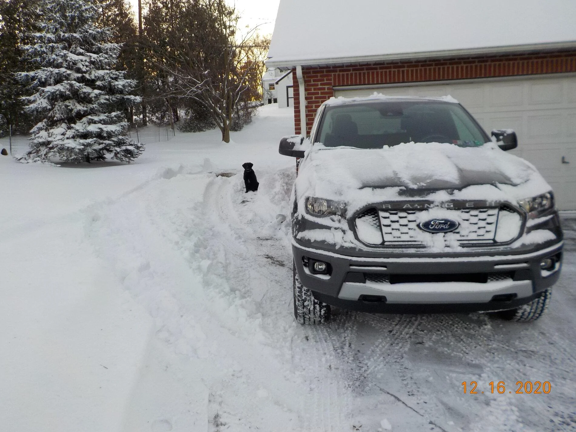 DSCN0015.webp