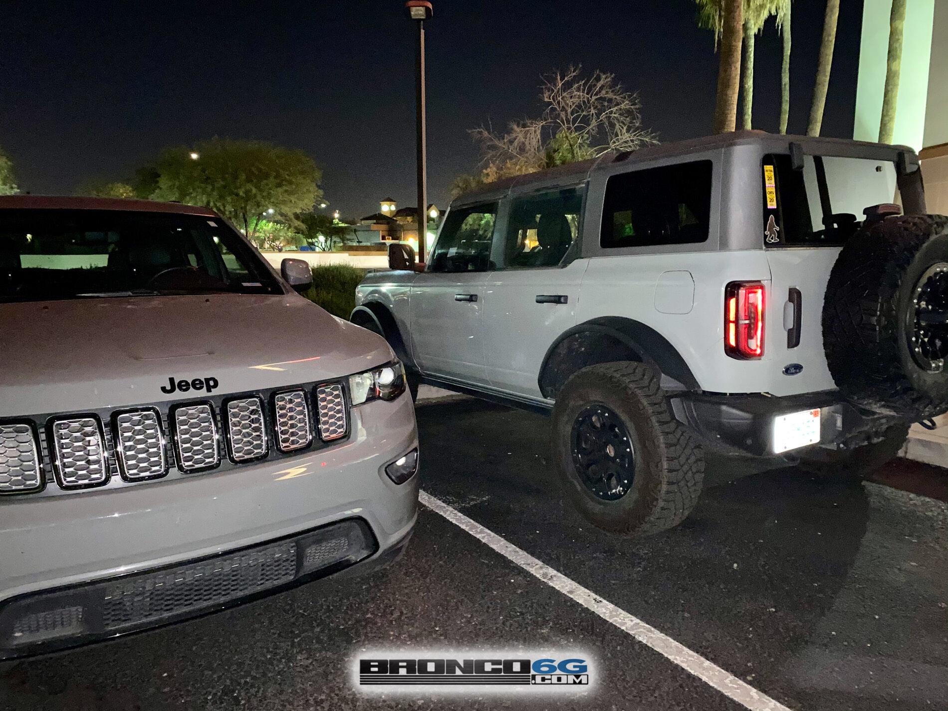 Cactus Gray Bronco Arizona 0.jpg