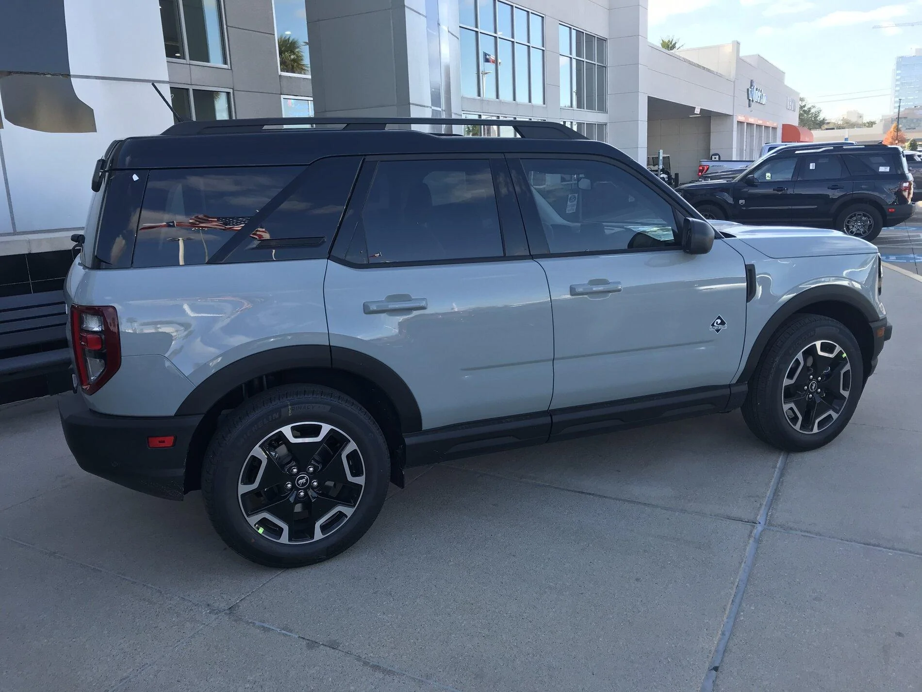 Cactus Gray1.jpg